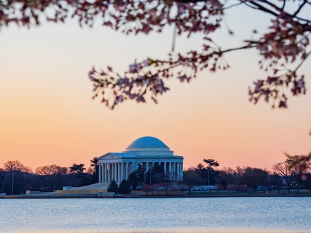 Sun rise view of the Thomas Jefferson Memorial with cherry blossom at Washington DC